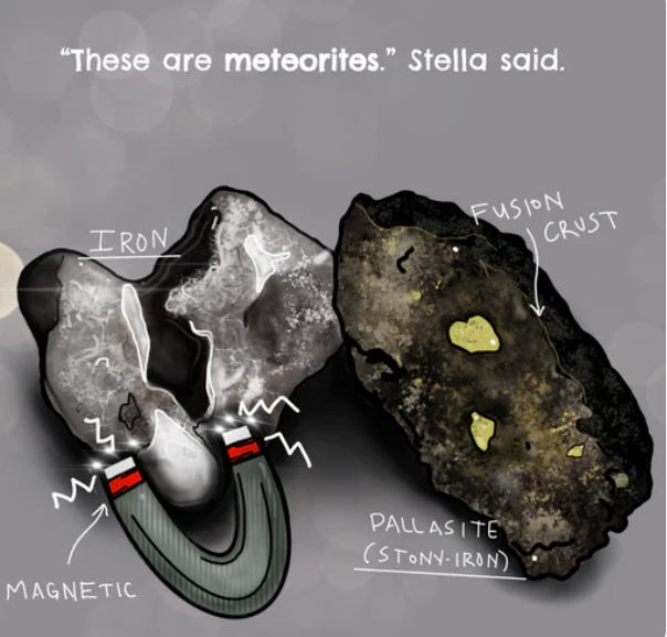 Stella shows two meteorites called a Pallasite and an Iron in the book Milo and the Midnight Meteorite